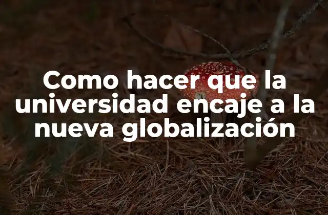 Como Hacer que la Universidad Encaje a la Nueva Globalización