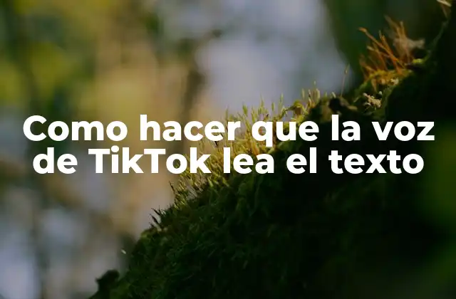 Como Hacer que la Voz de Tiktok Lea el Texto