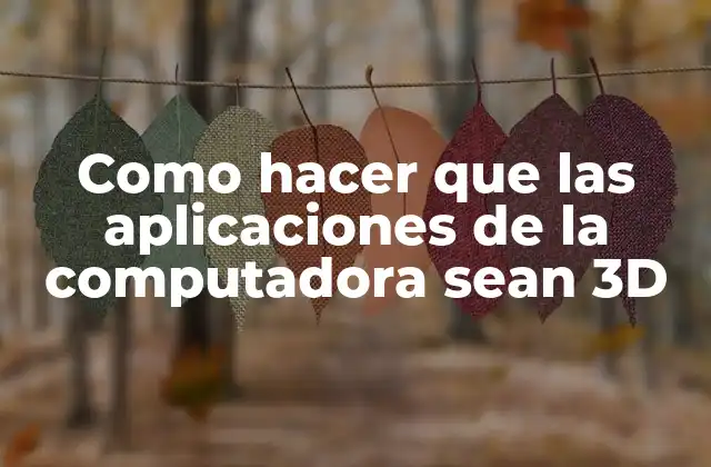 Como Hacer que las Aplicaciones de la Computadora Sean 3d