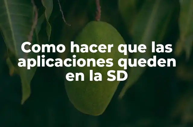 Como Hacer que las Aplicaciones Queden en la Sd 2 Como hacer que las aplicaciones queden en la SD