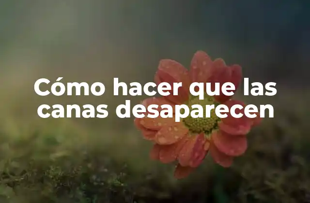 ¿Qué son las canas y por qué aparecen?