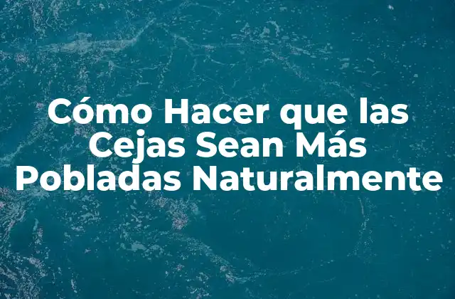Cómo Hacer que las Cejas Sean Más Pobladas Naturalmente