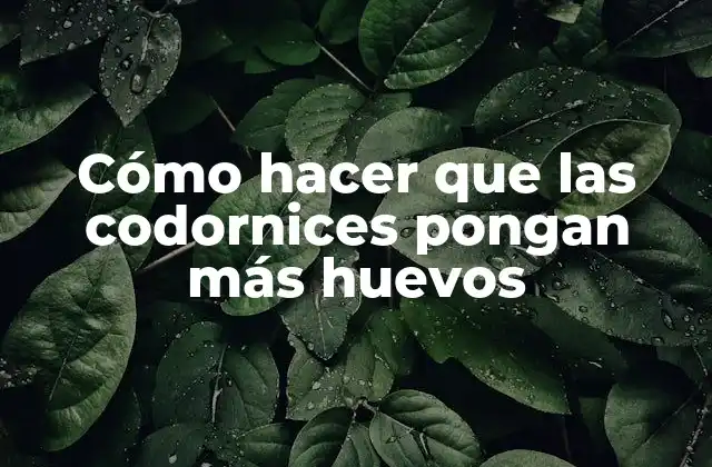 Cómo Hacer que las Codornices Pongan Más Huevos