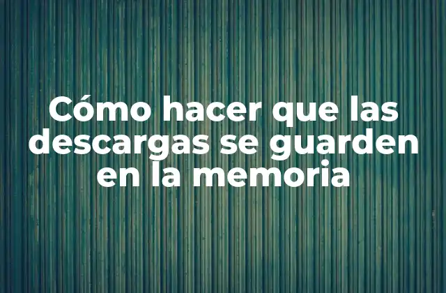 Cómo Hacer que las Descargas Se Guarden en la Memoria