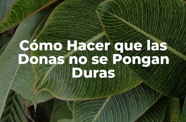 Cómo Hacer que las Donas No Se Pongan Duras