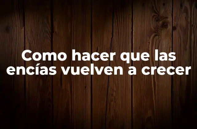 Como Hacer que las Encías Vuelven a Crecer