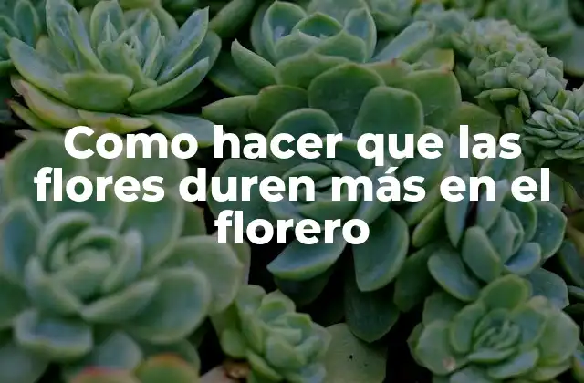 Como Hacer que las Flores Duren Más en el Florero