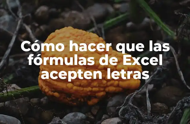 Cómo Hacer que las Fórmulas de Excel Acepten Letras 2 Cómo hacer que las fórmulas de Excel acepten letras