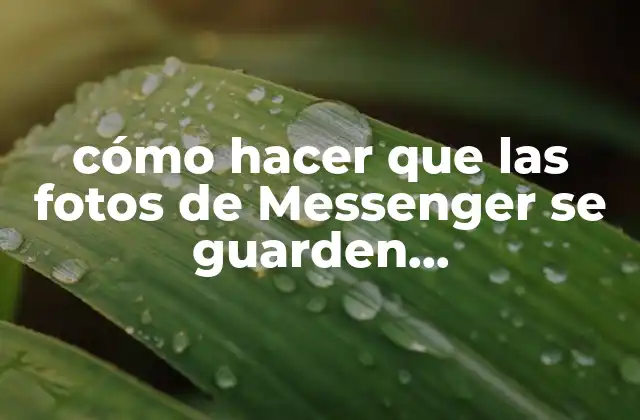 Cómo Hacer que las Fotos de Messenger Se Guarden Automáticamente