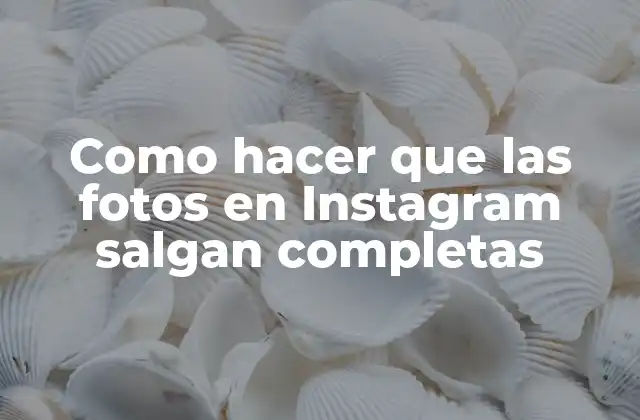 Como Hacer que las Fotos en Instagram Salgan Completas