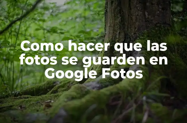 Como Hacer que las Fotos Se Guarden en Google Fotos