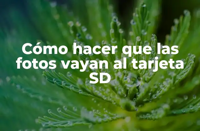 Cómo Hacer que las Fotos Vayan Al Tarjeta Sd