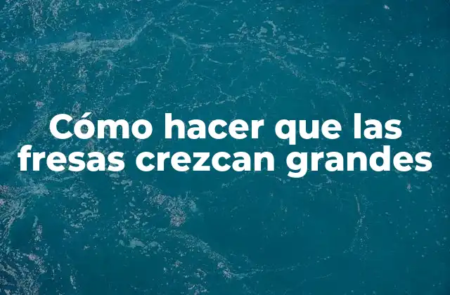 Cómo Hacer que las Fresas Crezcan Grandes