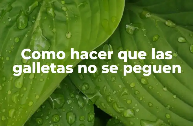 Como Hacer que las Galletas No Se Peguen