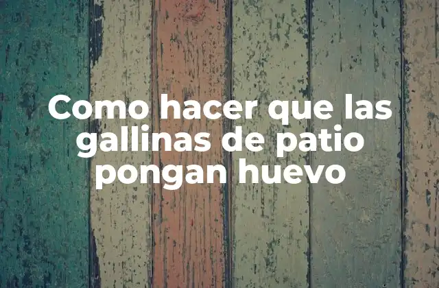 Como Hacer que las Gallinas de Patio Pongan Huevo