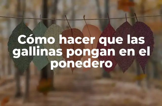 Cómo Hacer que las Gallinas Pongan en el Ponedero