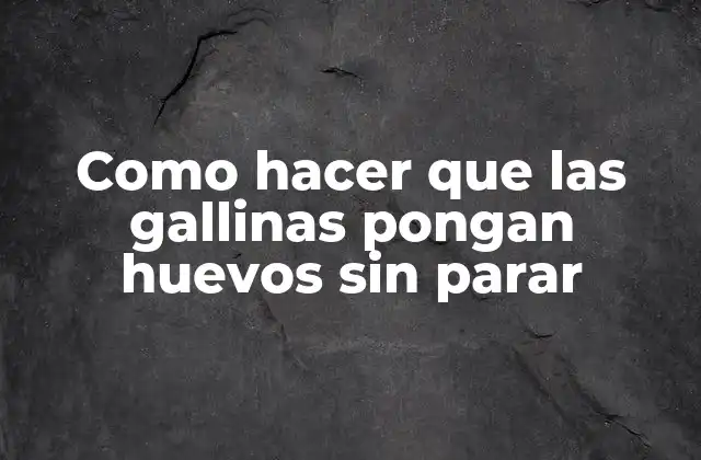 Como Hacer que las Gallinas Pongan Huevos sin Parar