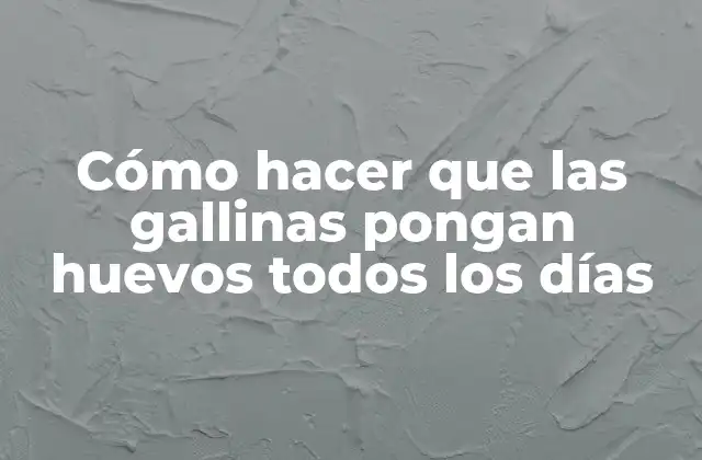 Cómo Hacer que las Gallinas Pongan Huevos Todos los Días