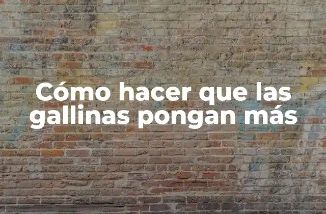 Cómo Hacer que las Gallinas Pongan Más