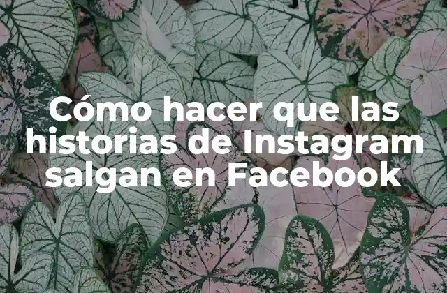 Cómo Hacer que las Historias de Instagram Salgan en Facebook