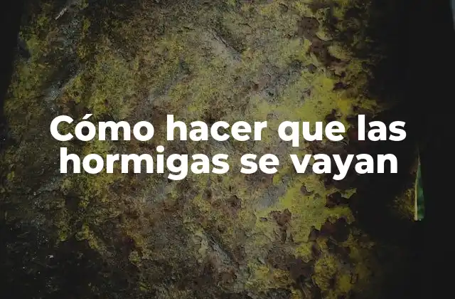 Cómo Hacer que las Hormigas Se Vayan