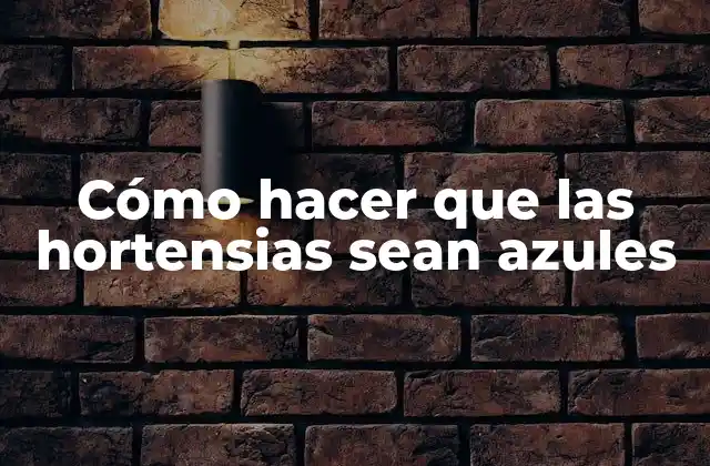 Cómo Hacer que las Hortensias Sean Azules