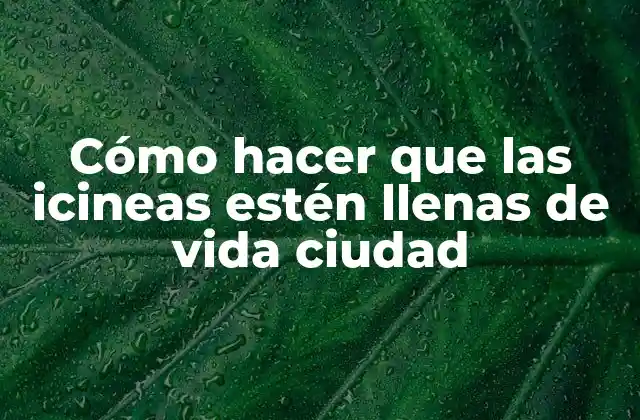 ¿Qué son las icineas y para qué sirven?