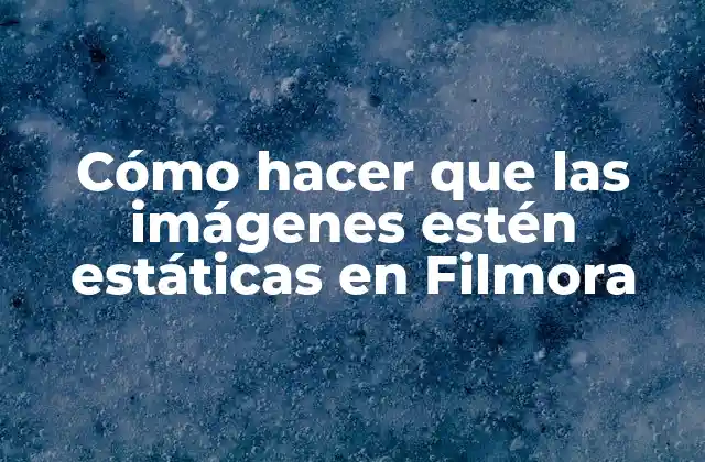 Cómo Hacer que las Imágenes Estén Estáticas en Filmora