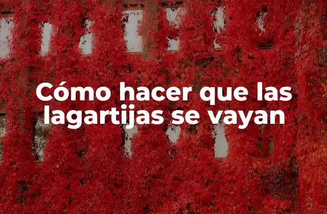 ¿Qué son las lagartijas y cómo se deshacen de ellas?