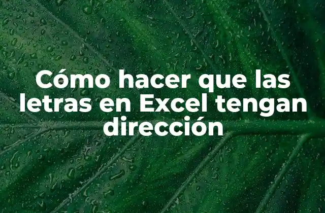 Cómo Hacer que las Letras en Excel Tengan Dirección