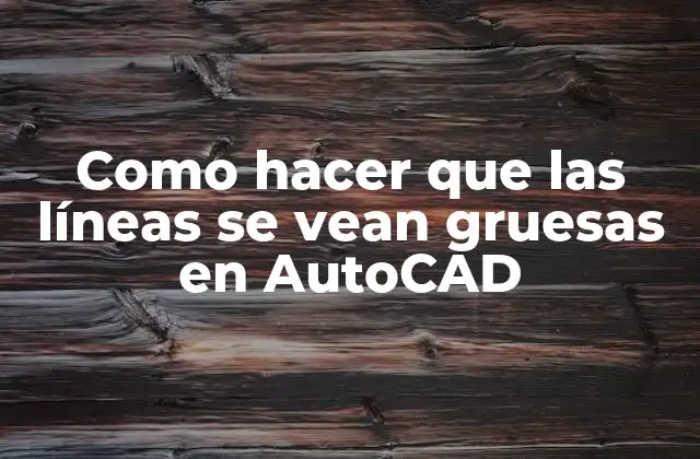 Como Hacer que las Líneas Se Vean Gruesas en Autocad
