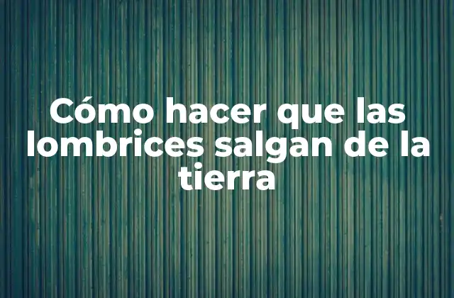 Cómo Hacer que las Lombrices Salgan de la Tierra
