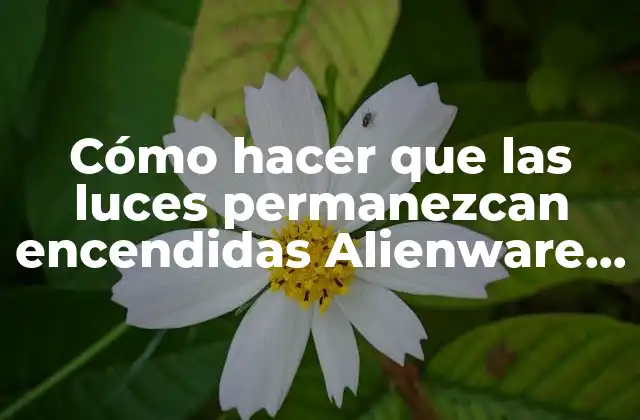 Cómo Hacer que las Luces Permanezcan Encendidas Alienware 14 2 ¿Qué son las luces de Alienware 14 y para qué sirven?