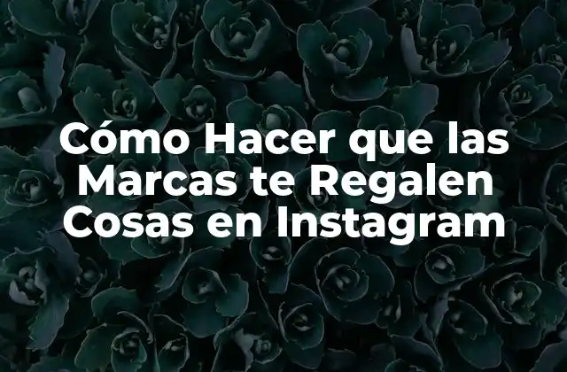 Cómo Hacer que las Marcas Te Regalen Cosas en Instagram