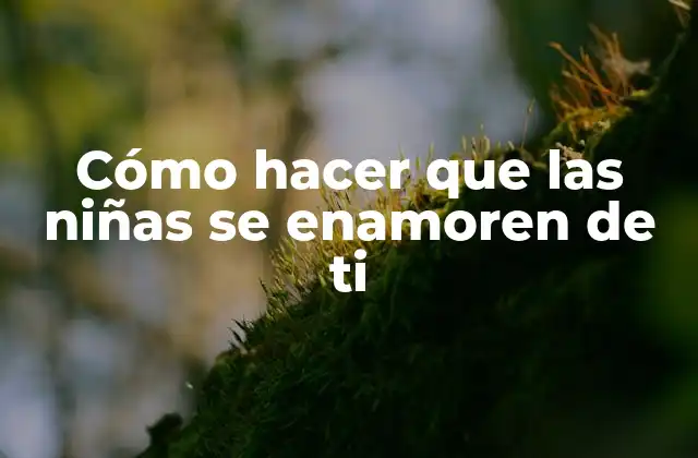 Cómo Hacer que las Niñas Se Enamoren de Ti