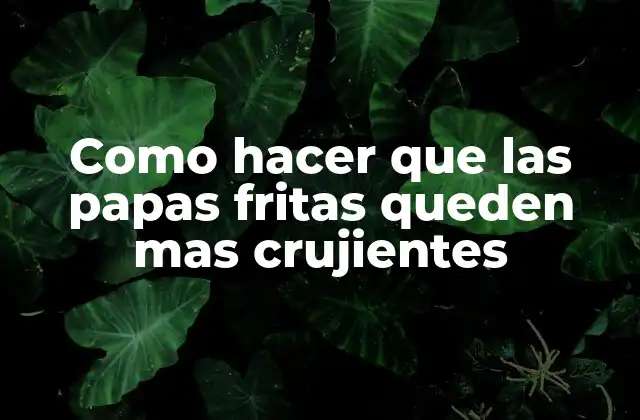Como Hacer que las Papas Fritas Queden mas Crujientes