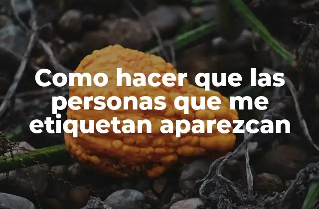 Como Hacer que las Personas que Me Etiquetan Aparezcan