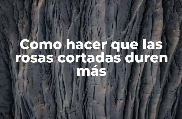 Como Hacer que las Rosas Cortadas Duren Más