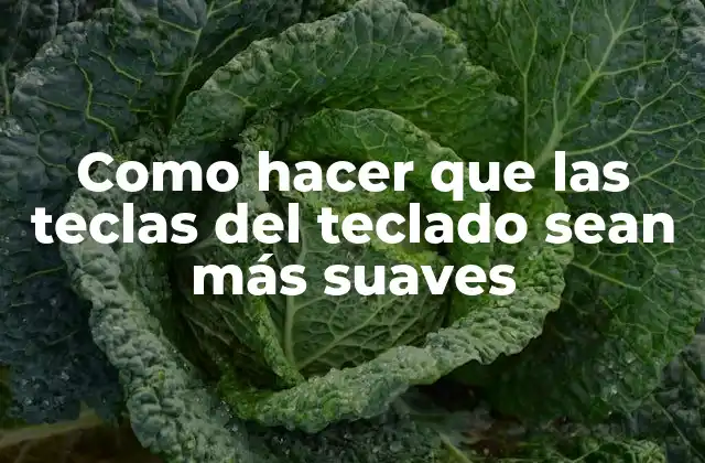 Como Hacer que las Teclas Del Teclado Sean Más Suaves