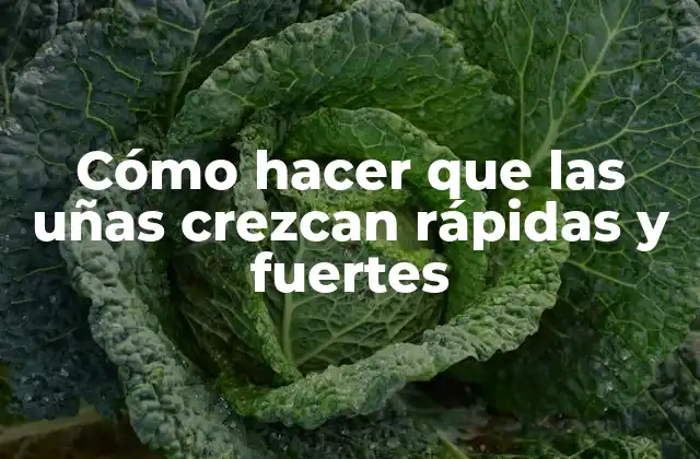 Cómo Hacer que las Uñas Crezcan Rápidas y Fuertes