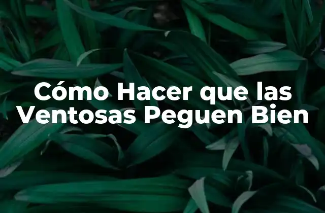 Cómo Hacer que las Ventosas Peguen Bien