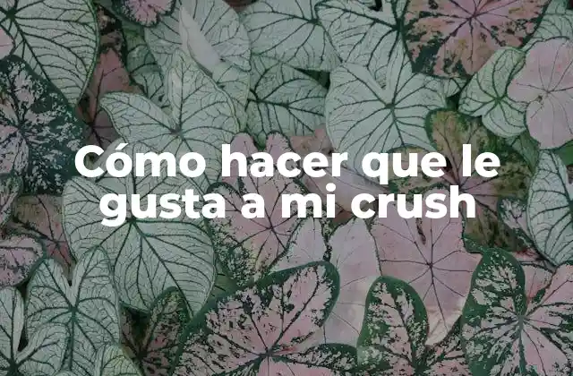 Cómo Hacer que Le Gusta a Mi Crush 2 Cómo hacer que le gusta a mi crush