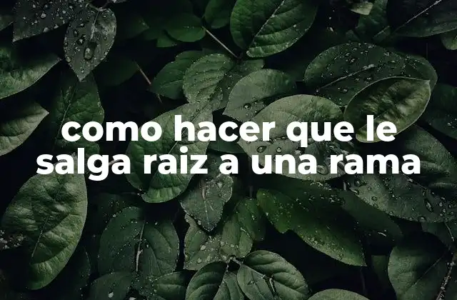 Como Hacer que Le Salga Raiz a una Rama