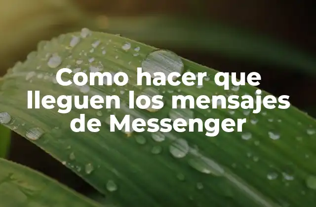Como Hacer que Lleguen los Mensajes de Messenger