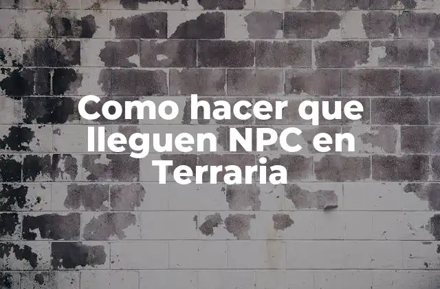 Como Hacer que Lleguen Npc en Terraria