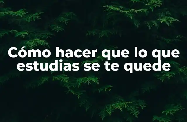Cómo Hacer que Lo que Estudias Se Te Quede