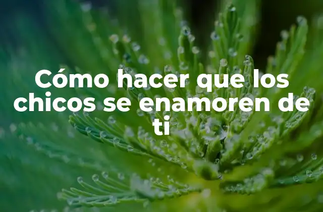 Cómo Hacer que los Chicos Se Enamoren de Ti