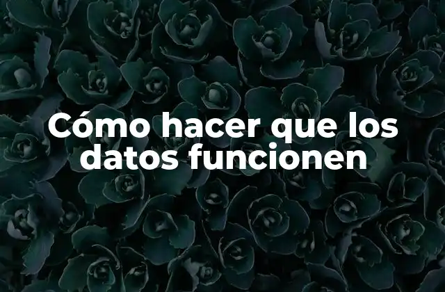 Cómo hacer que los datos funcionen