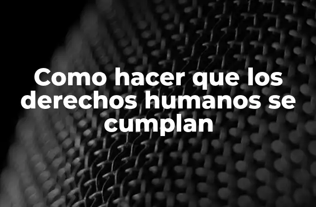 Como Hacer que los Derechos Humanos Se Cumplan
