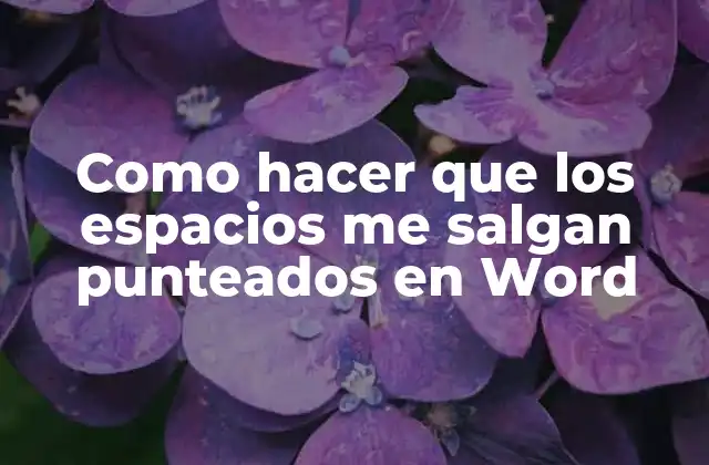 Como Hacer que los Espacios Me Salgan Punteados en Word
